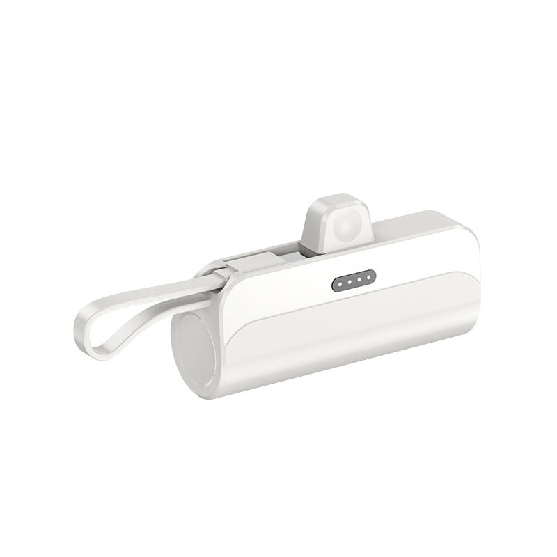 Portable Wireless Power Bank